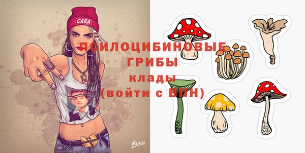 мдпв Баксан