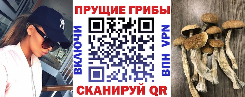 Галлюциногенные грибы GOLDEN TEACHER  Давлеканово 